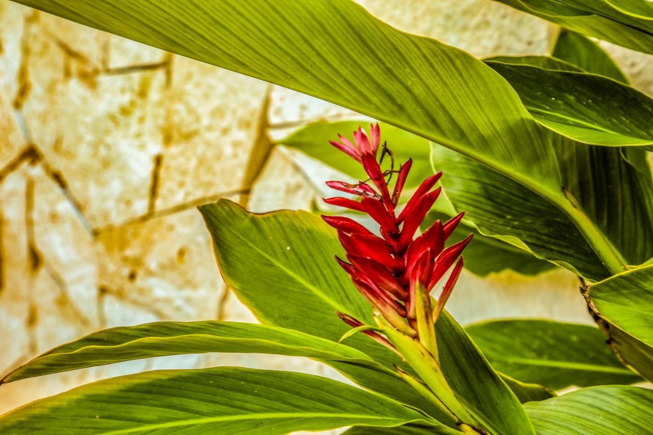 Agam Hotel Bacalar Exterior foto